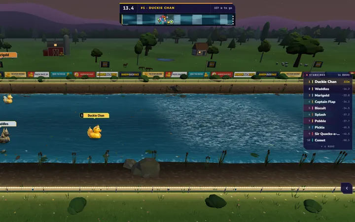 Random Duck Race screenshot, a night race: A duck race under the stars, the farms and the fences lit along the river.