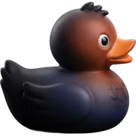 Colorful duck 33 — rubber duck skin