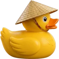 Lifestyle duck 2 — rubber duck skin