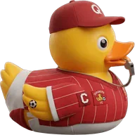 Lifestyle duck 41 — rubber duck skin