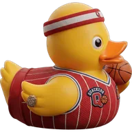 Lifestyle duck 42 — rubber duck skin