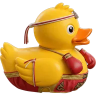 Lifestyle duck 9 — rubber duck skin